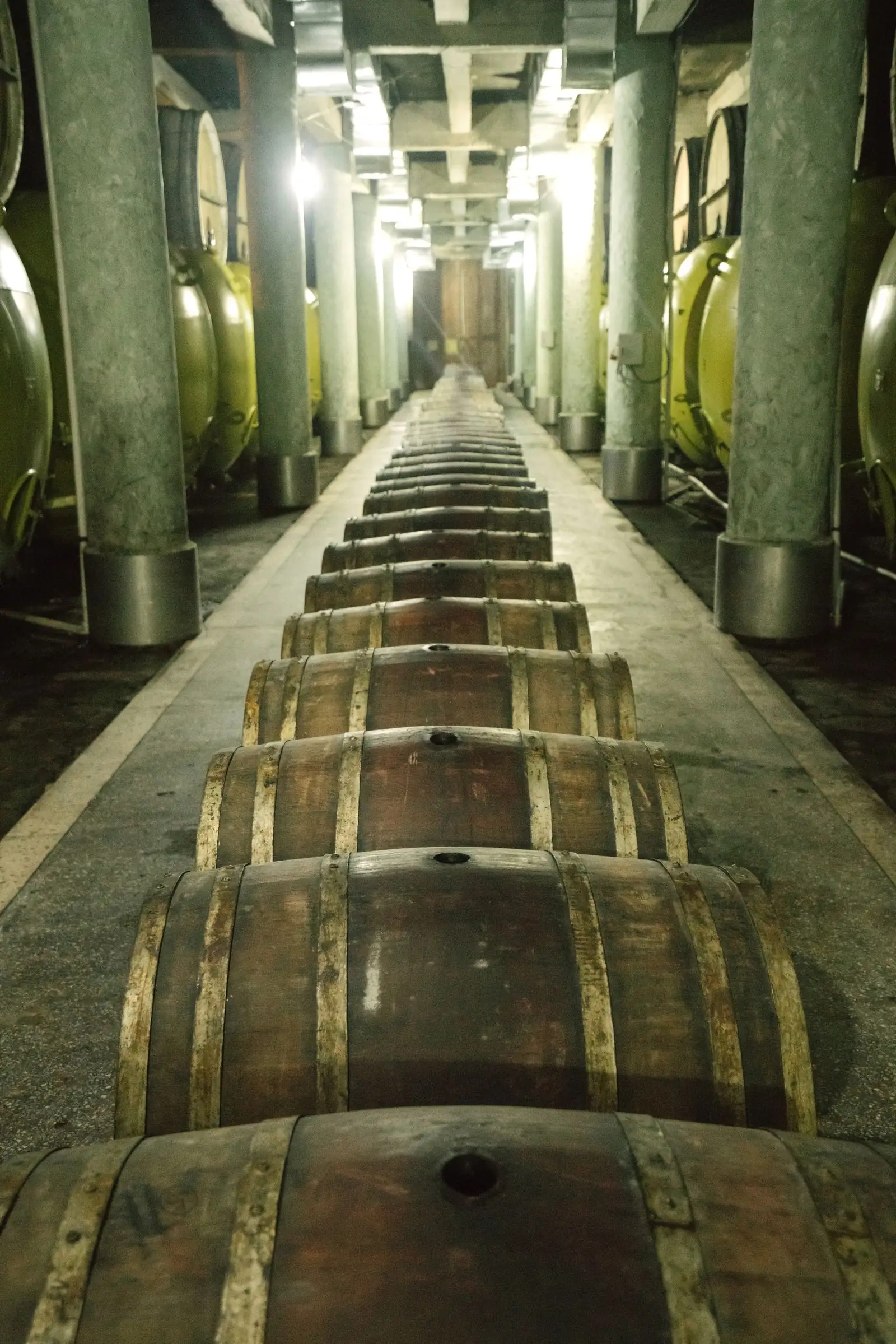 Barrel cellar